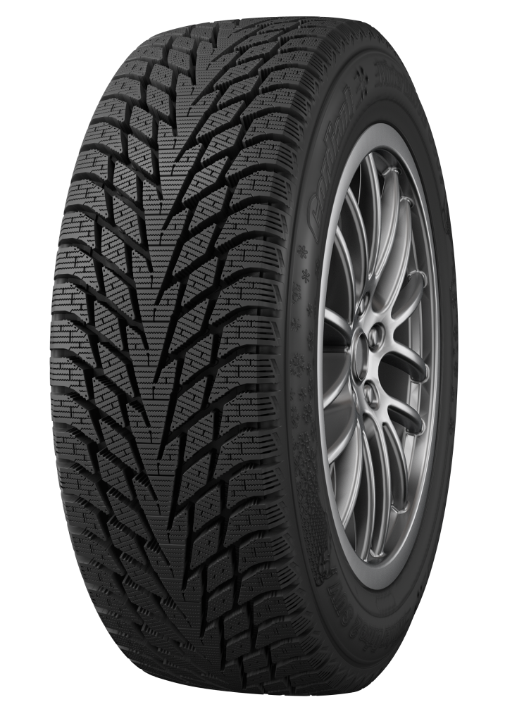 175/65 R14 CORDIANT WINTER_DRIVE_2 86 T БК Автошина В СБОРЕ ТЗСК Болото 2024